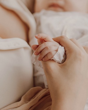 conexao mae bebe conexao mae bebe